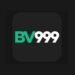 BV999 Game Download APK Latest Version In Pakistan