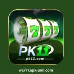 11PAK Game Download Latest Version 2025 (Real Money Earning App for Pakistan)