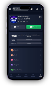 Falcon666 Game APK Download – Latest Version Free for Android in Pakistan (2026) 4